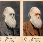 hd-charlesdarwin